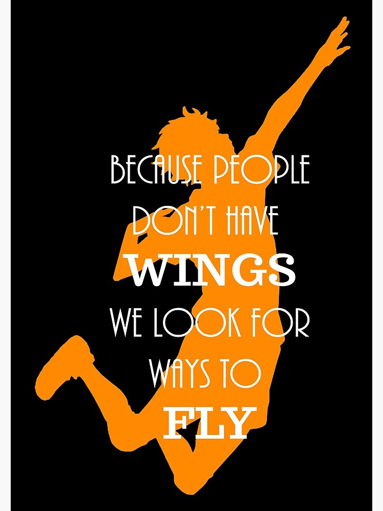 Haikyuu!! Because people don't have wings, we look for ways to fly. by ninasblue