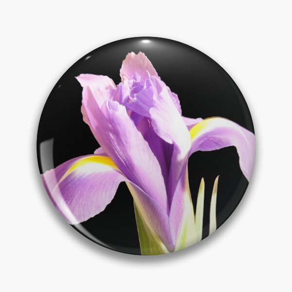 Item preview, Purple Iris designed and sold by Colin Bentham.