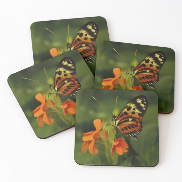 Item preview, Tiger Longwing Butterfly designed and sold by Adam Bykowski.