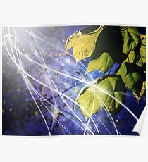 Leaves Dancing in the Magic of Night Poster