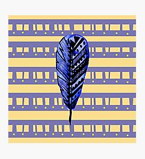 Endearment Feather Photographic Print