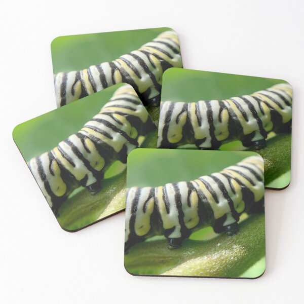 Item preview, Caterpillar Feet designed and sold by lisapicklepizza.