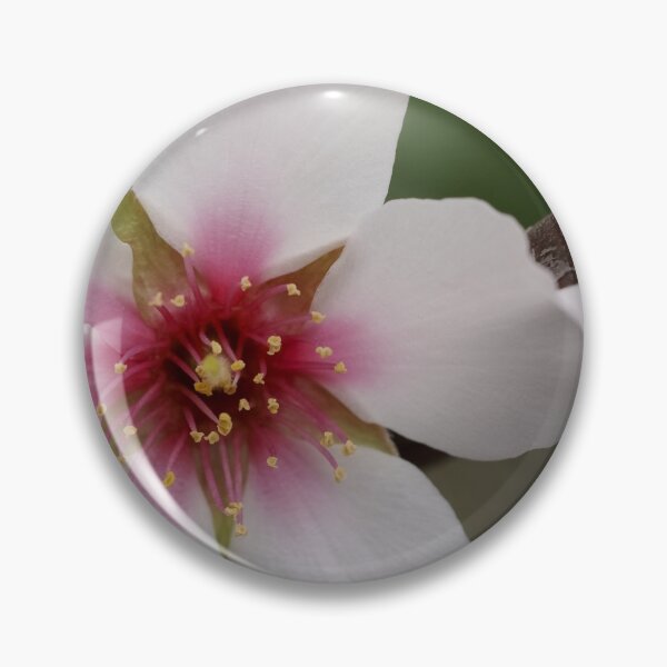 Item preview, FOREVER Now designed and sold by Michelle Lee Blatt.