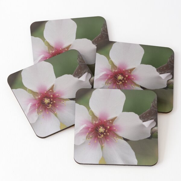 Item preview, FOREVER Now designed and sold by Michelle Lee Blatt.