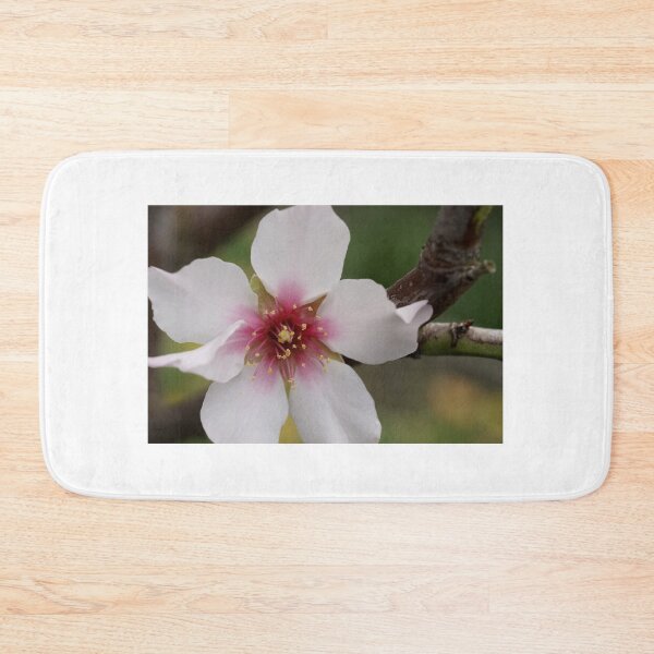 Item preview, FOREVER Now designed and sold by Michelle Lee Blatt.