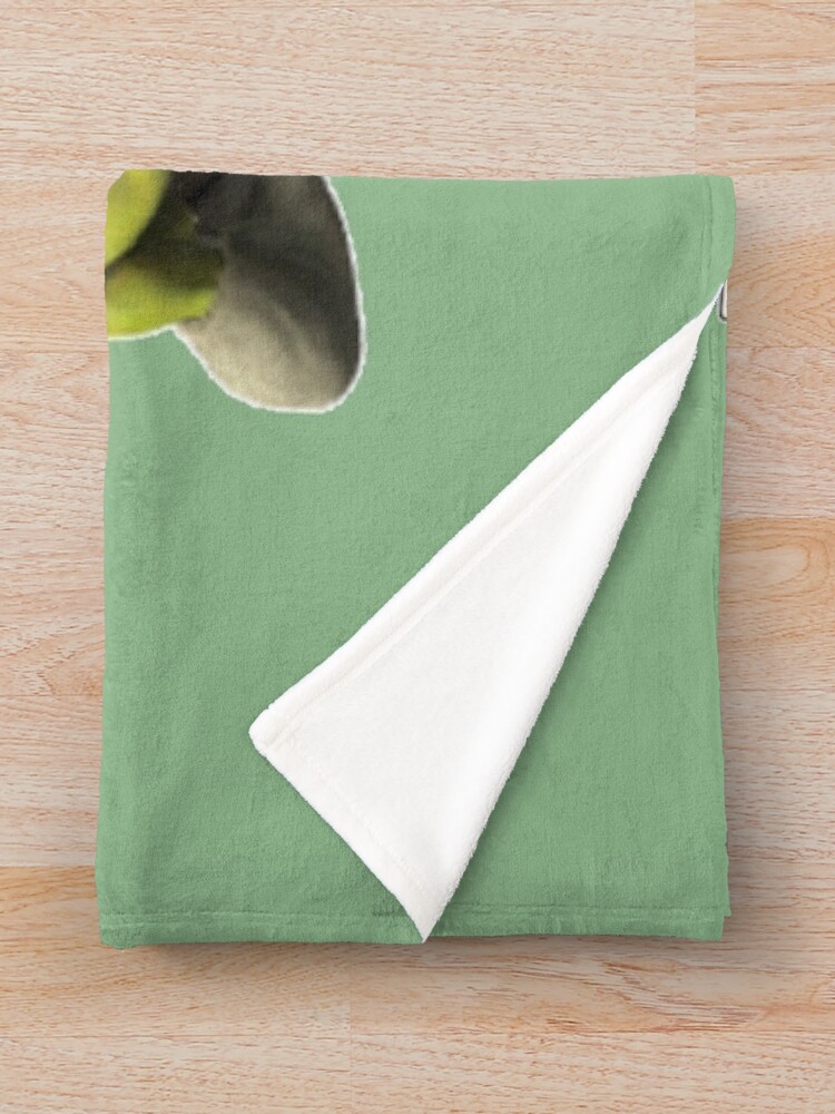 Alternate view of Shrek Throw Blanket