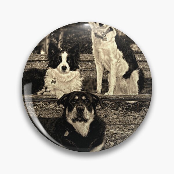 Item preview, Dogs in Sepia designed and sold by Gazart.