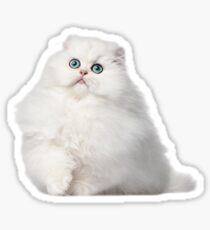 White cat! Sticker