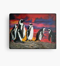 African Penguins Metal Print
