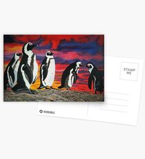 African Penguins Postcards