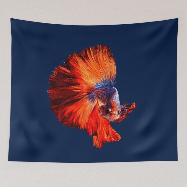 Item preview, Betta Fish Whisperer designed and sold by Danicus666.