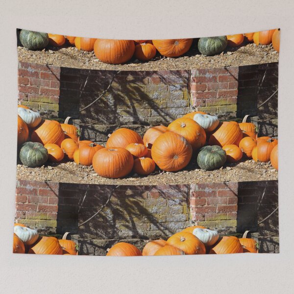 Item preview, pile of pumpkins and gourds  designed and sold by pinkal.