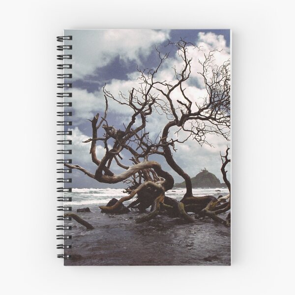 Item preview, Hana Coast designed and sold by Michael Moss Photography.