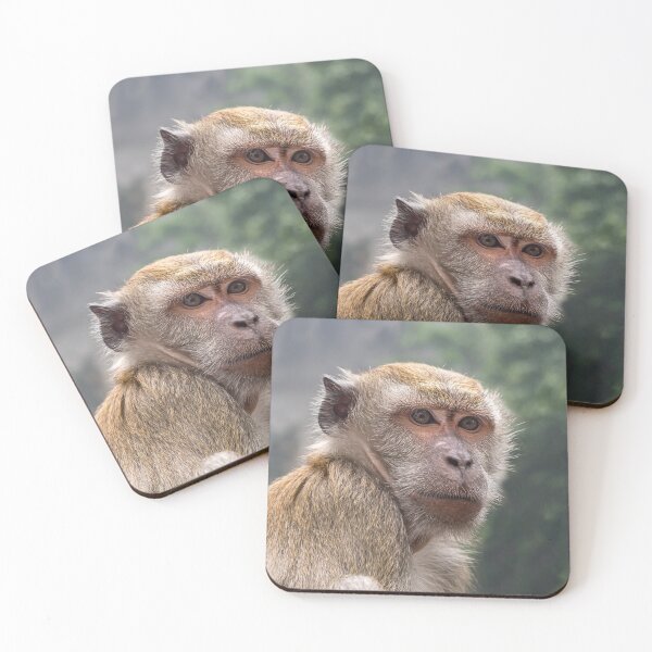Item preview, Portrait of Macaque monkey, Batu Caves, Kuala Lumpur designed and sold by Tom Carpenter.