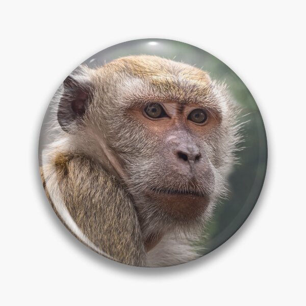Item preview, Portrait of Macaque monkey, Batu Caves, Kuala Lumpur designed and sold by Tom Carpenter.