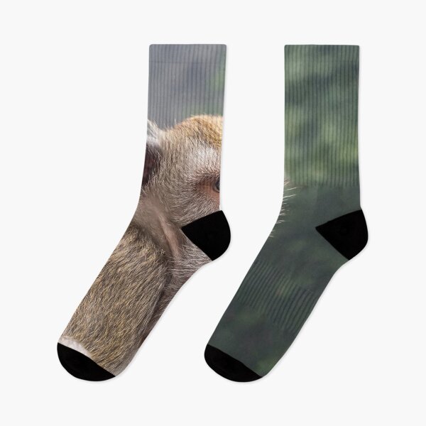 Item preview, Portrait of Macaque monkey, Batu Caves, Kuala Lumpur designed and sold by Tom Carpenter.