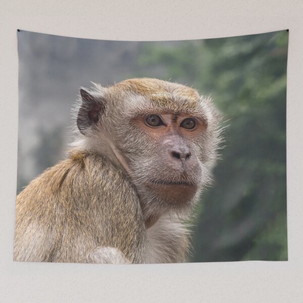 Item preview, Portrait of Macaque monkey, Batu Caves, Kuala Lumpur designed and sold by Tom Carpenter.