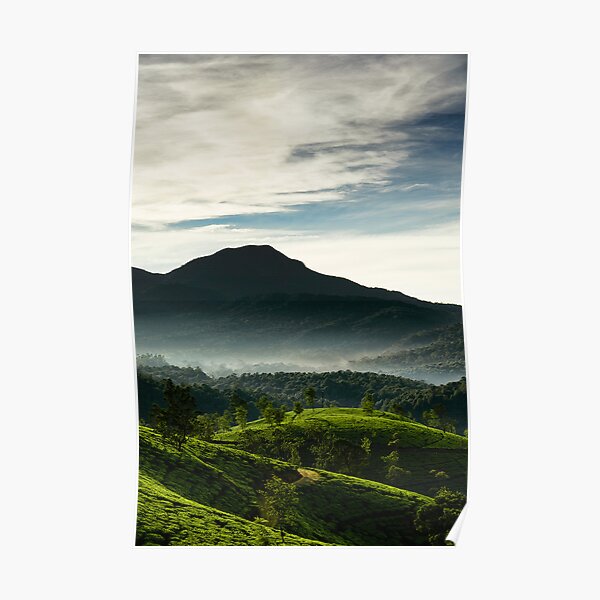 Misty Sunshine Poster