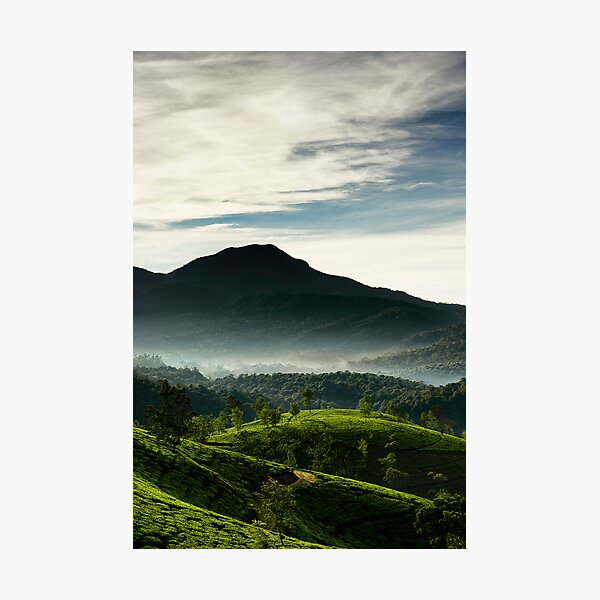 Misty Sunshine Photographic Print