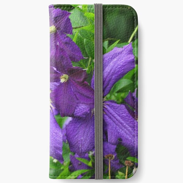 Clematis vines among wildflowers iPhone Wallet