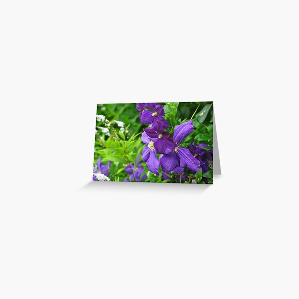 Clematis vines among wildflowers Greeting Card