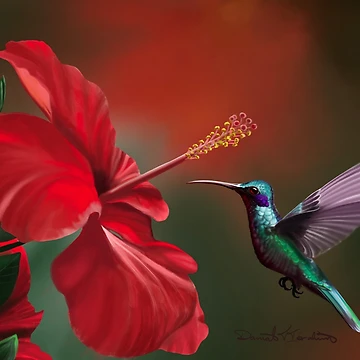 Artwork thumbnail, Hummingbird by DTi Paints