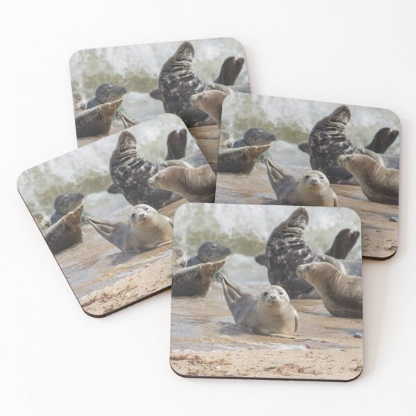 Item preview, Seals of Norfolk 2 designed and sold by TashPhotography.