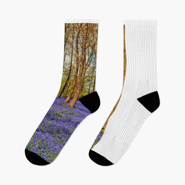 Item preview, Bluebell Woods Greys Court Oxfordshire England designed and sold by AndyEvansPhotos.