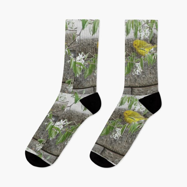 Item preview, Yellow Warbler designed and sold by J Rier Photography.