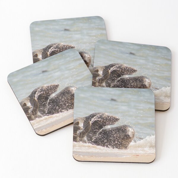 Item preview, Seals of Norfolk designed and sold by TashPhotography.