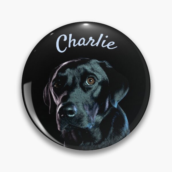 Artikelvorschau, GLÜCK IST EIN SCHWARZER LABRADOR NAMENS CHARLIE entworfen und verkauft von Danicus666.
