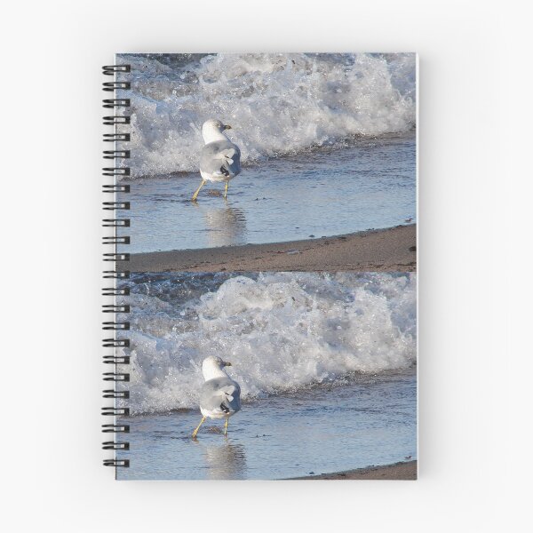 Item preview, Gull on the beach designed and sold by J Rier Photography.