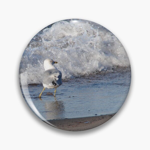 Item preview, Gull on the beach designed and sold by J Rier Photography.