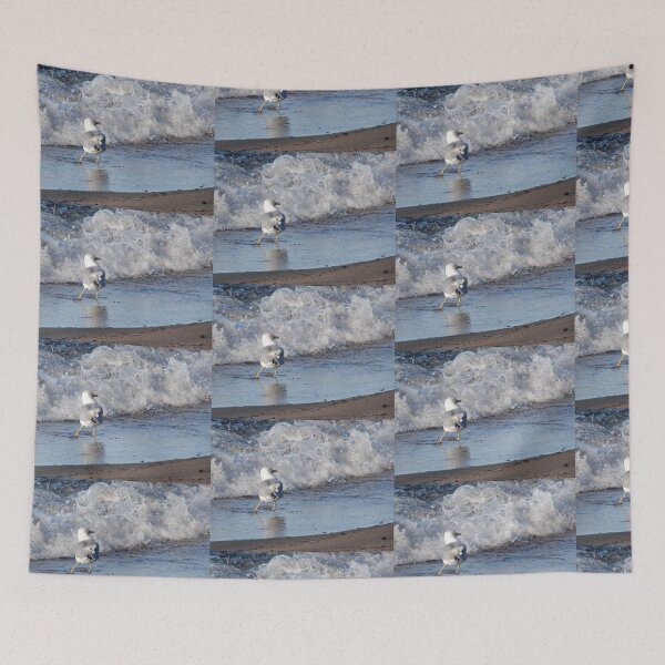 Item preview, Gull on the beach designed and sold by J Rier Photography.