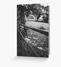 Black & White countryside Greeting Card