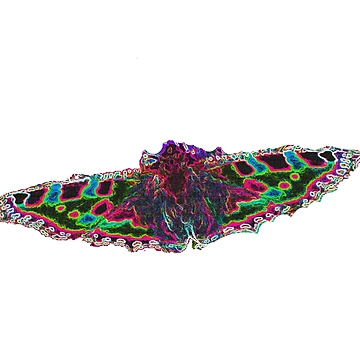 Aperçu de l'œuvre Papillon de DesignsofNote
