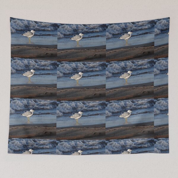 Item preview, Gull on the beach designed and sold by J Rier Photography.