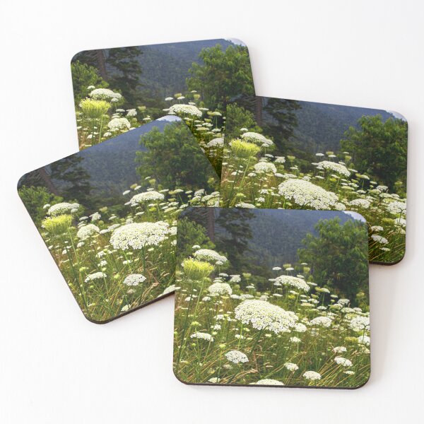 Item preview, Queens Anne Lace designed and sold by nbrandsberg.