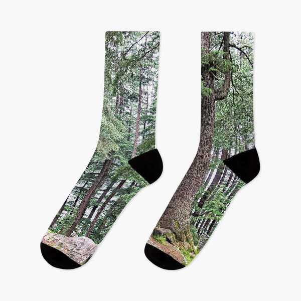 Item preview, Himalayan Forest Majestic Trees Landscape, Himalaya India designed and sold by worldways.