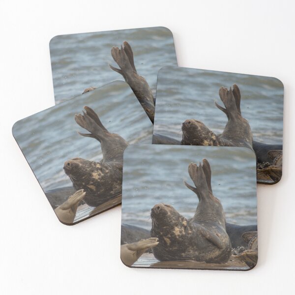 Item preview, Seals of Norfolk 4 designed and sold by TashPhotography.