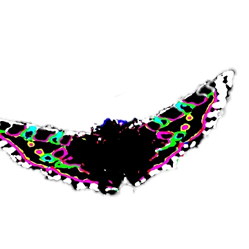 Artwork thumbnail, Liquid Butterfly  by DesignsofNote