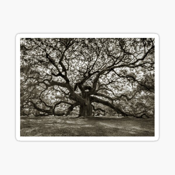 Item preview, The Twinning Branches designed and sold by nbrandsberg.
