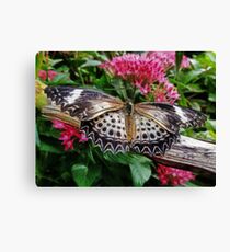 Look at Me Canvas Print