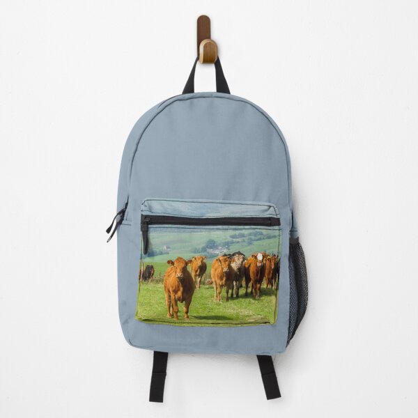 Item preview, Curious Cows designed and sold by Jane Stanley Photography.