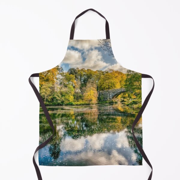 Item preview, Beaver Bridge Autumn Betws y Coed Wales designed and sold by AJEvans.