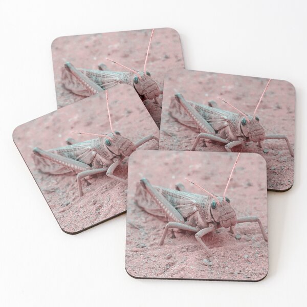 Item preview, Locust at Ground, Talampaya National Park, La Rioja, Argentina designed and sold by DFLC Prints.