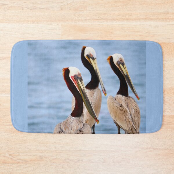 Item preview, Pelicans designed and sold by CM-PD.