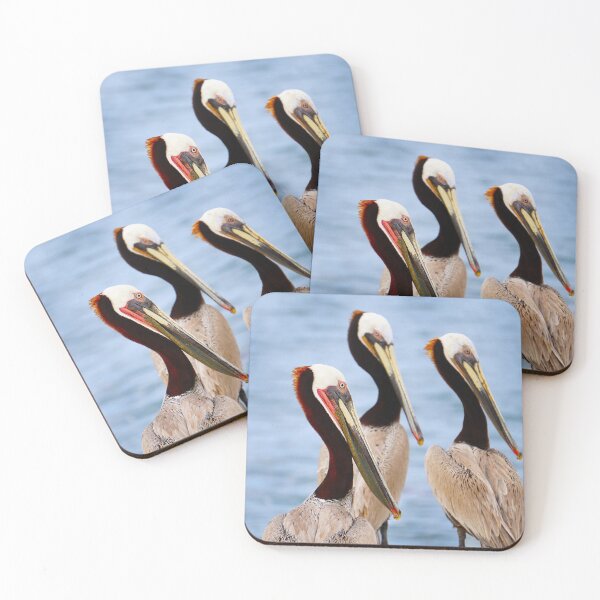 Item preview, Pelicans designed and sold by CM-PD.