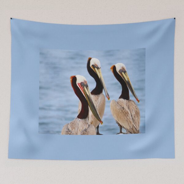 Item preview, Pelicans designed and sold by CM-PD.