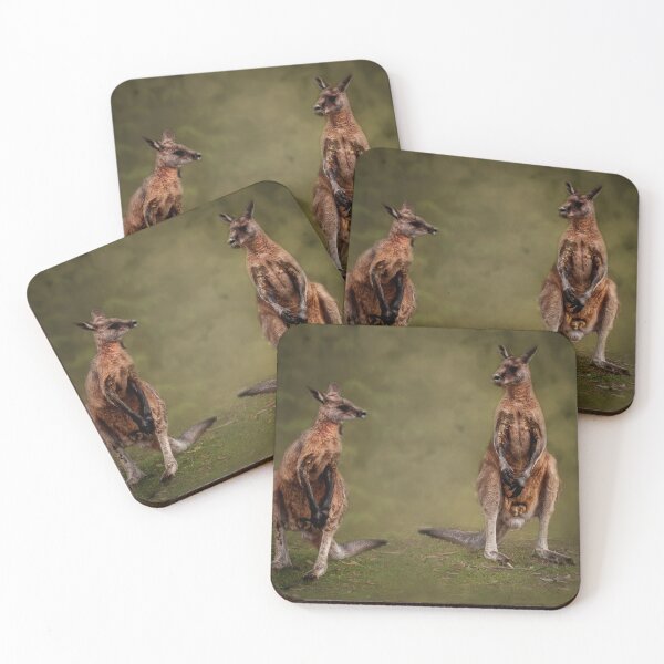 Item preview, Tasmanian forester kangaroo designed and sold by Yukondick.